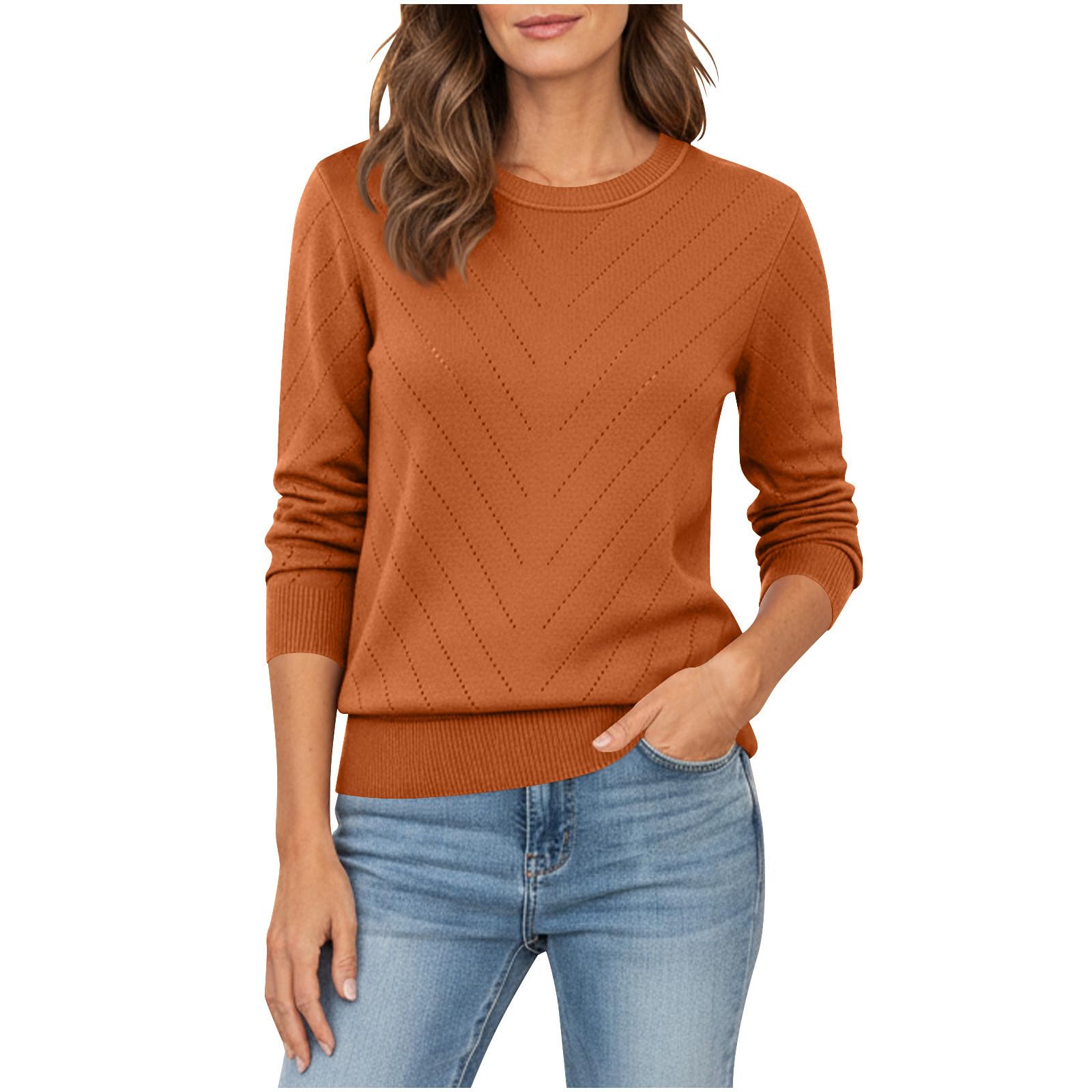Fall Sweaters for Women Casual Round Neck Knitted Sweater Lightweight Long Sleeve Pullover Winter Clothing