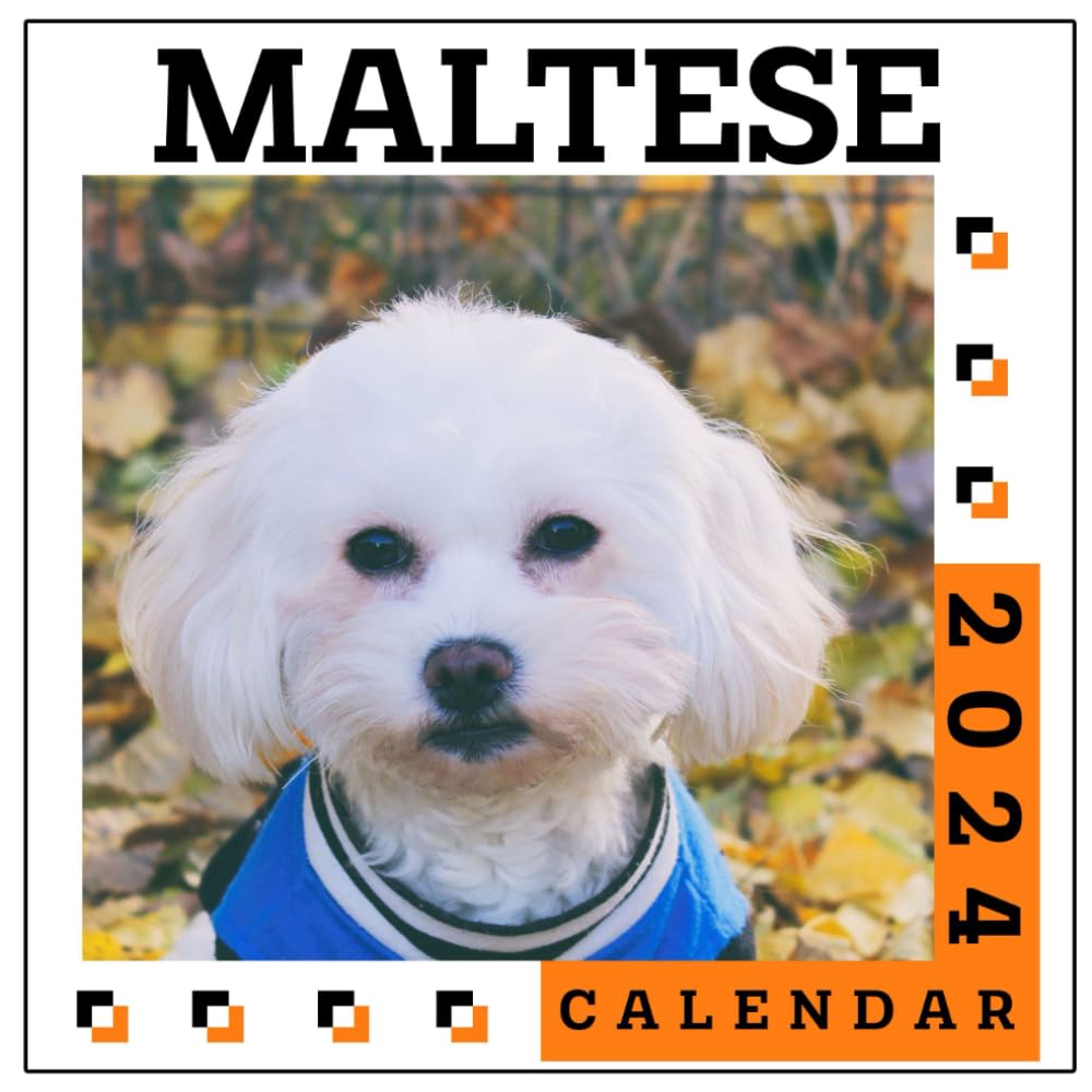 Maltese Calendar 2024 12Month Calendar, January to