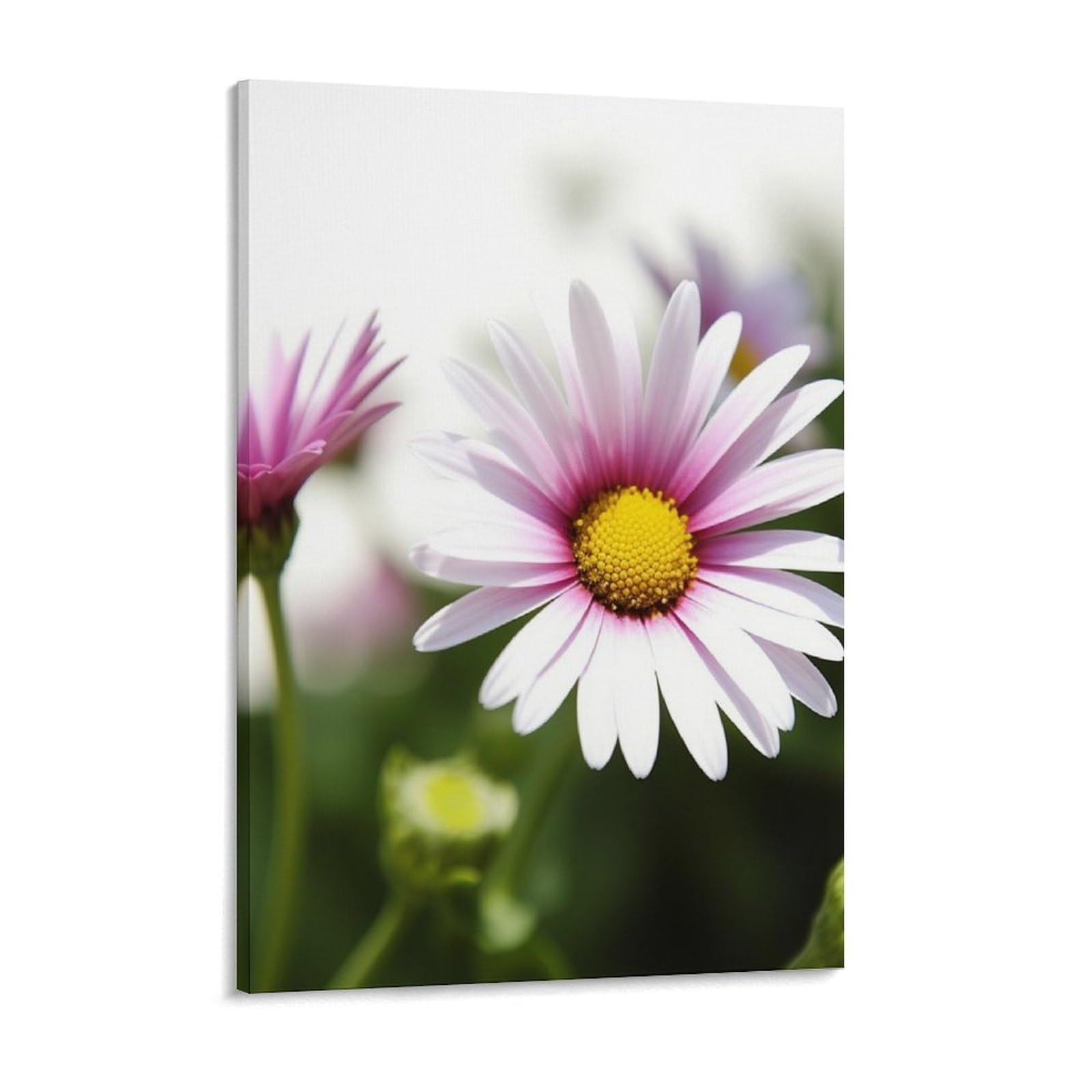 NTVOWPZO Daisy Flower Canvas Wall Art for Bedroom 12x16inch Canvas Prints Artwork for Walls Modern Picture Artwork Painting for Living Room Aesthetic Wall Paintings for Bathroom Kitchen Office Decor