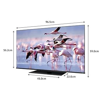 【美品】東芝 4K倍速液晶テレビ 43Z670K レグザ テレビ 43インチ 液晶テレビ 43V型 4Kチューナー内蔵