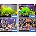 AQUANEAT Aquarium Filter 5W UV Bulb Green Water Killer Submersible Pump Filter 132 GPH for 75 Gallon Fish Tank