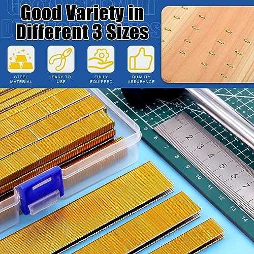 Glarks 2000Pcs 18 Gauge Narrow Crown Staples, 1/2 Inch Galvanized Crown Narrow Staples Assortment Kit for Electric Stapler, Pneumatic, DIY Home Improvement (Gold)