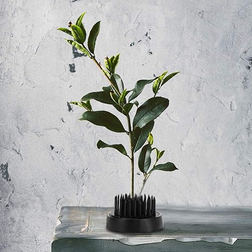 Miniatura 3 de TOPINCN Soporte de flores Rana Redondo Fijo Herramientas Arreglo Floral Aguja Estilo Japonés Ikebana Kenzan Plumbum Flower Pin Holders (34MM)