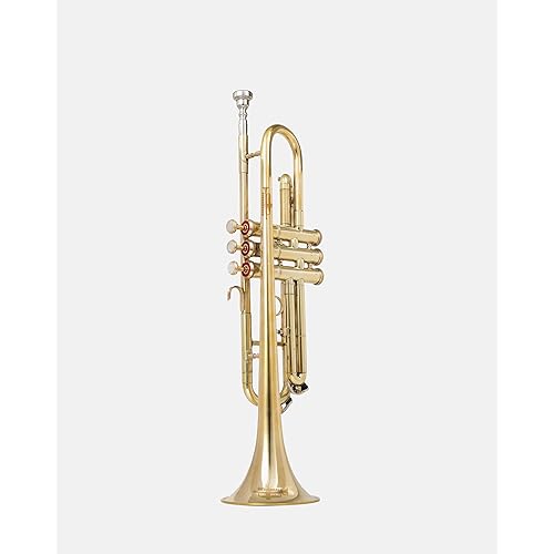 Standard Trumpet in Bb Pitch – Full Brass Finish with Red Valve Accents | Brass Wind Instrument with Mouthpiece & Case for Beginners & Students