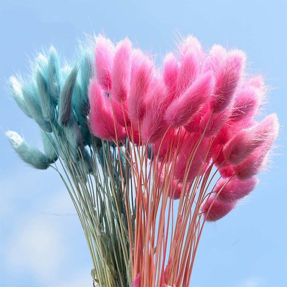WYLFYJP Bouquet 60 Fleurs Séchées Colorées Immortelles - Queue De Chien Lapin Herbe Décoration Bohème