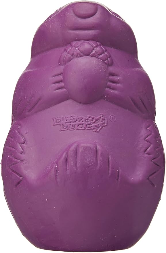 Pet Supplies Pet Chew Toys PetSafe Busy Buddy Squirrel Dude