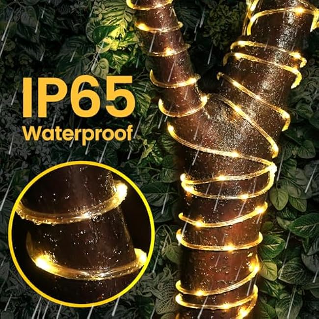 Solar Rope Lights, 66ft 200LED Solar Powered Outdoor String Lights, Waterproof 8 Modes Flexible Clear Tube Fairy Lights for Outside, Garden, Steps, Pool, Backyard, Tree, Deck Decor