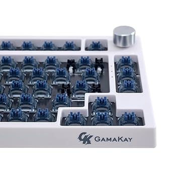 Amazon.co.jp: GK GAMAKAY Pegasus 静音 キーボードスイッチ 5
