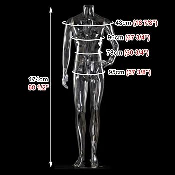 透明トルソー マネキン 70cm 男性体型 透明トルソー マネキン 70cm 男性体型 - メルカリ