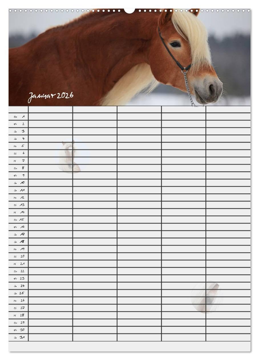 Haflinger Pferde - Stall- und Familienplaner 2026 (hochwertiger Premium Wandkalender 2026 DIN A2 hoch), Kunstdruck in Hochglanz: Stallplaner und ... Blick mit Haflinger Pferden (CALVENDO Tiere)