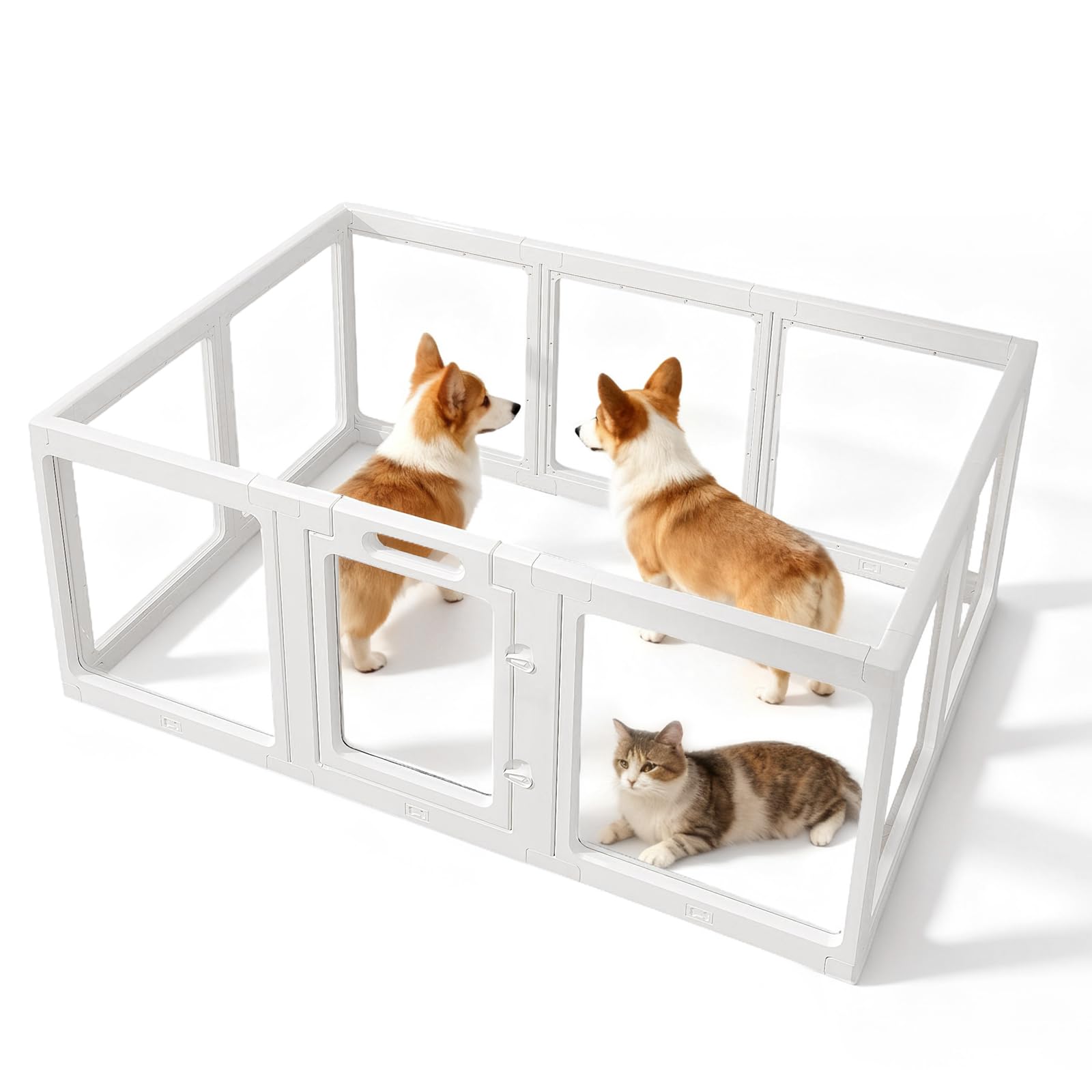 Beccuccioli in acrilico per animali domestici, 10 pannelli da 60 cm, per cani di piccola e media taglia, per interni ed esterni (150 x 100 x 60 cm)