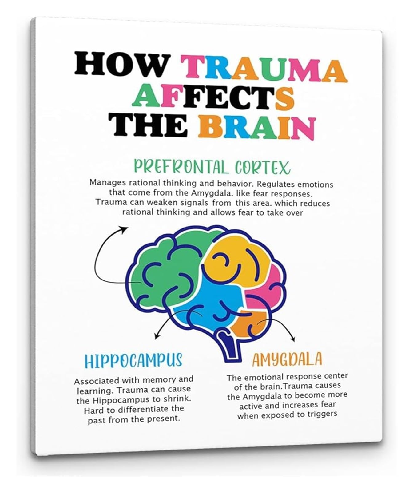LLBOGRGGN Mental Health Awareness Wall-Art How Trauma Affects the Brain Affirmations Print for Therapist(Framed,08x12inch(20x30cm))