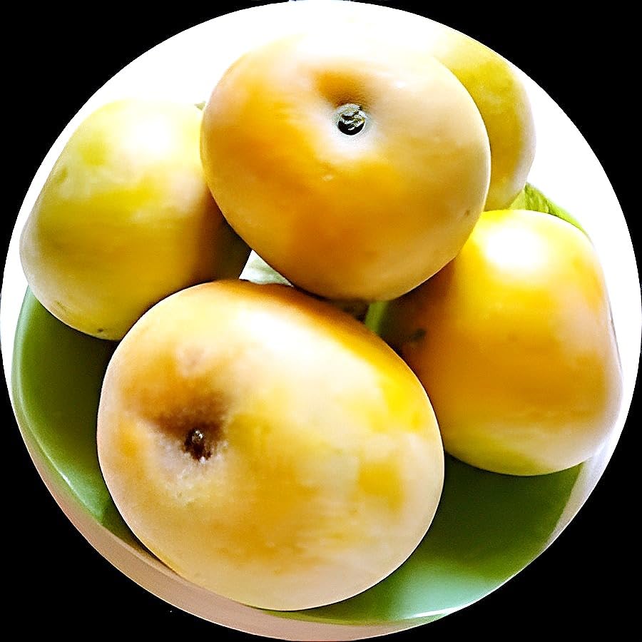 Hidden Enterprise Spacial veraity 1Healthy Live Sweet & Tesy Frash Food RUMANI MANGO Plant Tree ll For Home Garden Outdoor & Indoor Delicious Fruit plant.Pack Of_01… (B0D5WWJZS6) Amazon Price History, Amazon Price Tracker