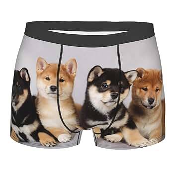 茶しばきいぬ オートマタ柴犬（茶） – JEKCA-SHOP