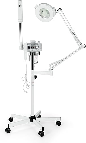Salonsunny - Vaporizador facial 3 en 1, máquina multifunción de alta frecuencia y lámpara de aumento