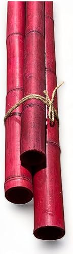 Paquete de 3 palos de bambú  6 pies de largo Natural grueso bambú postes  1.5 pulgadas de diámetro  estacas de jardín (rojo)