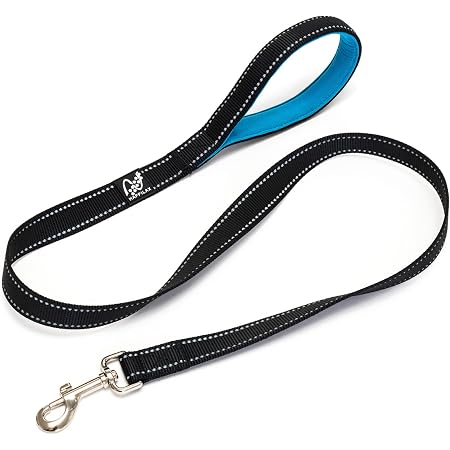 MayPaw Hundeleine Aus Seil – 1.9 Cm Dick, Verschiedene Längen (1.2 M Bis 5.1 M), Gepolsterter Griff, Karabinerhaken, Für Große & Kleine Hunde