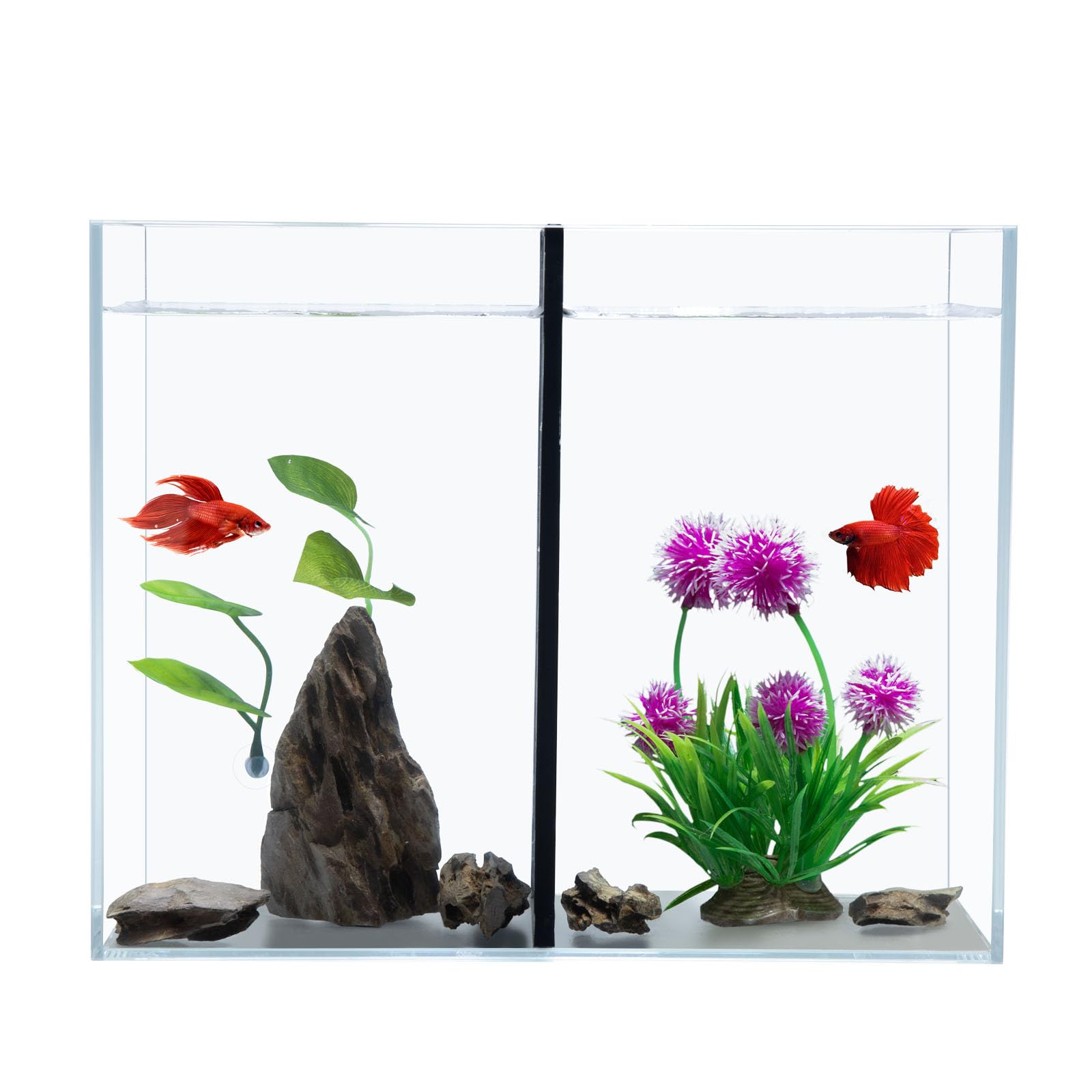 3 Gallon Betta Fish Tank with Divider, Small Aquarium, Fits 2 Bettas, 1.5 Gallon *2 Rooms.(Divider not Removable)