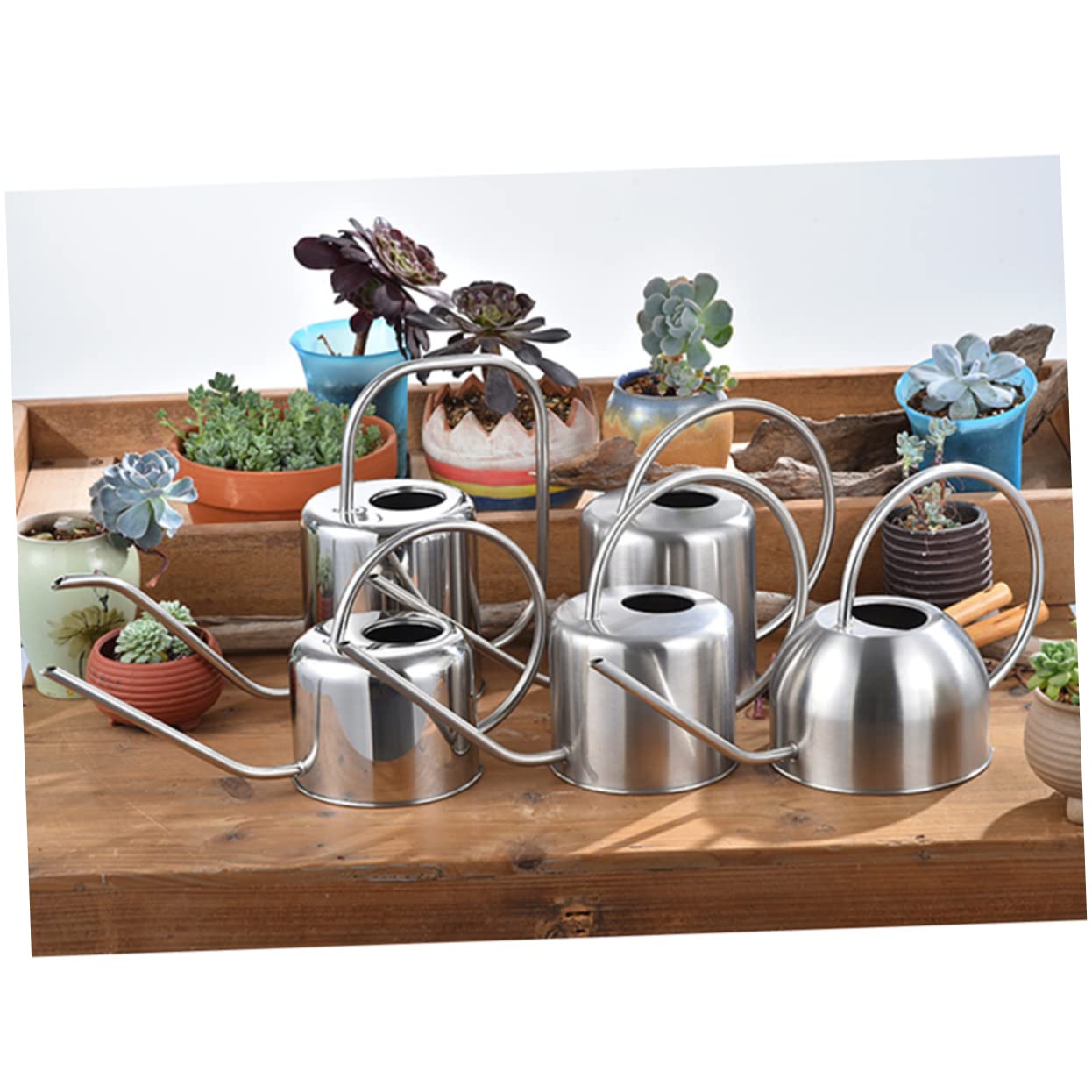 Arrosoir Rétro en Acier Inoxydable 1, 3 L à Long Bec pour Succulentes