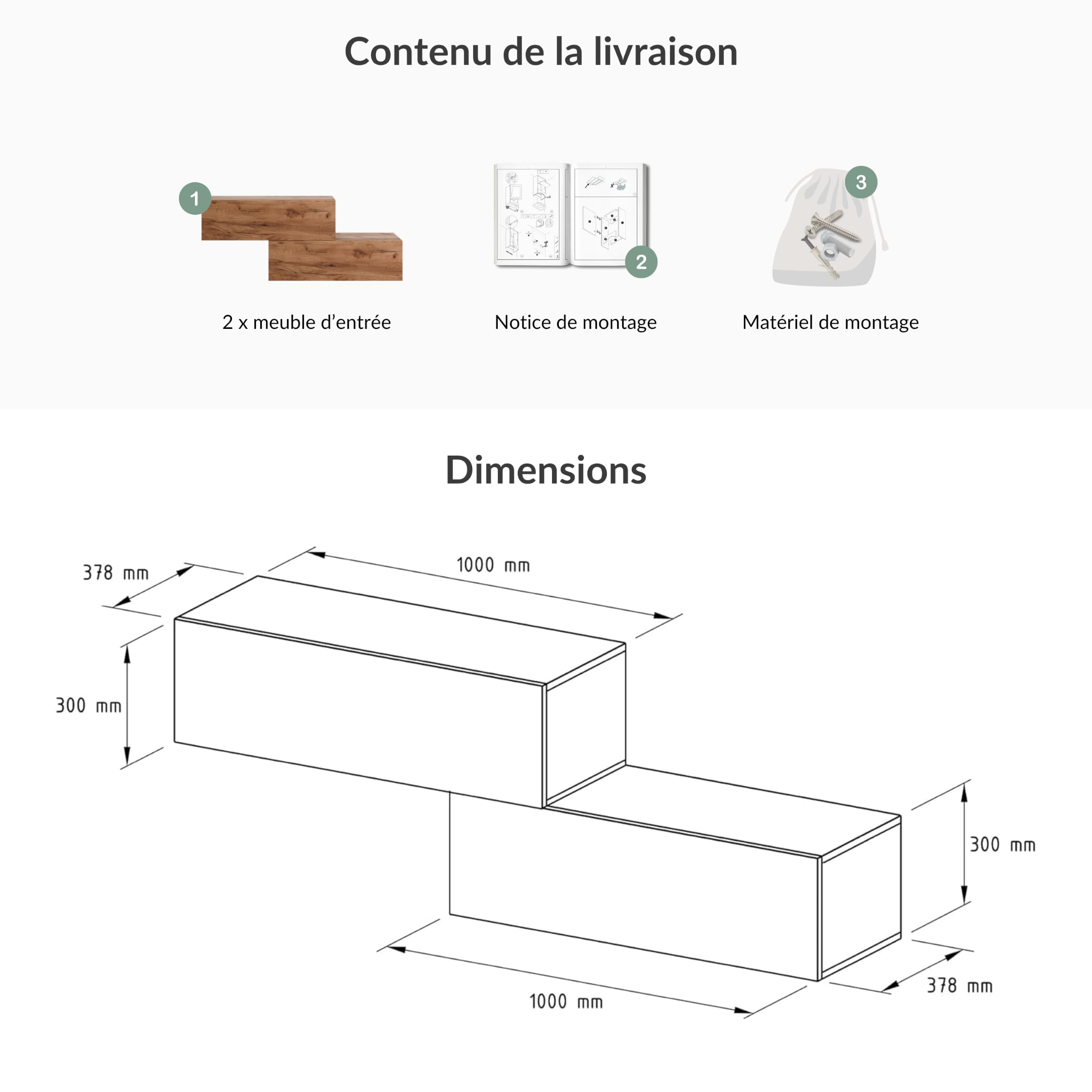 Planetmöbel Meuble d’Entrée avec Armoire Murale 2X 100 cm, Chêne doré, Vestiaire Compact avec Rangement à Abattant, Suspendue ou à Poser, 37,8 x 100 x 32,5 cm