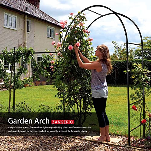 Wedding Arches for Ceremony Wedding Arch 6.6ft Circle Backdrop Stand Round Backdrop Stand Balloon Arch Stand Circle Balloon Arch Frame Round Balloon Arch Frame for Party Decoration (Garden Arch) - Image 3