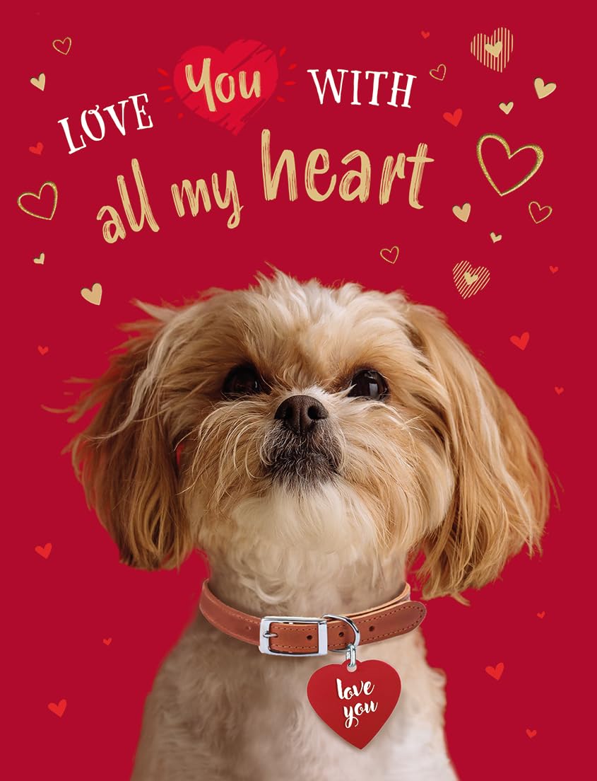 Piccadilly Greetings Valentines Day Card, Love you with all my heart, dog - 8 x 6 inches