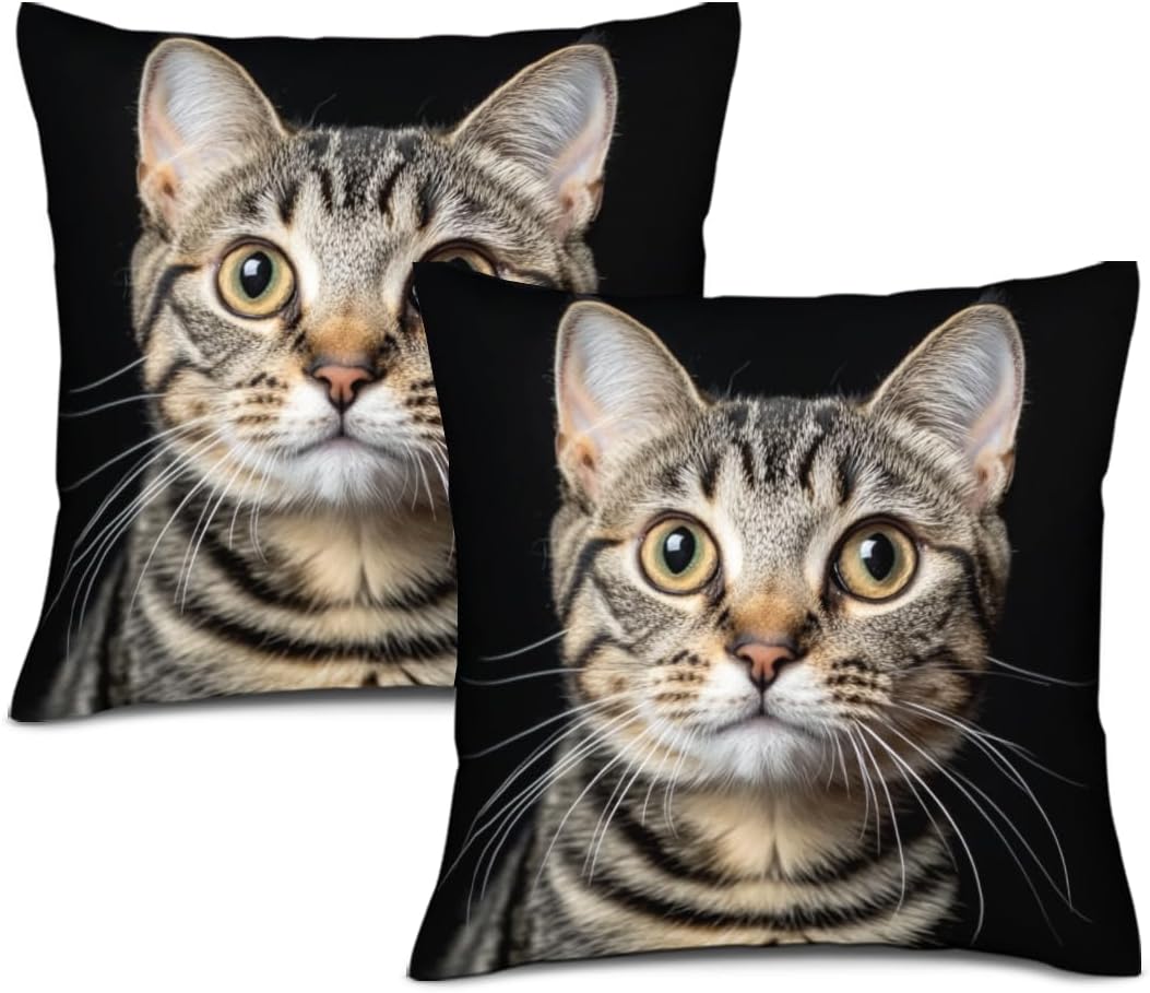Cotton Linen Home Decorative Throw Black Cat Pillow Case 28x28 Inches Set of 2 Cushion Cover for Sofa Couch Pillow Covers Bed Home Decoration