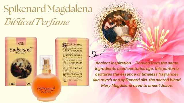 Amazon.com : Spikenard Magdalena 3 Arches USA 0.3 fl oz/10ml