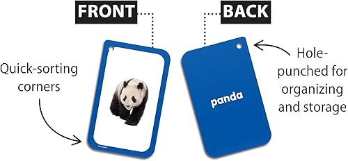 Miniatura 2 de Teacher Created Resources Categorías Tarjetas flash (EP62079)