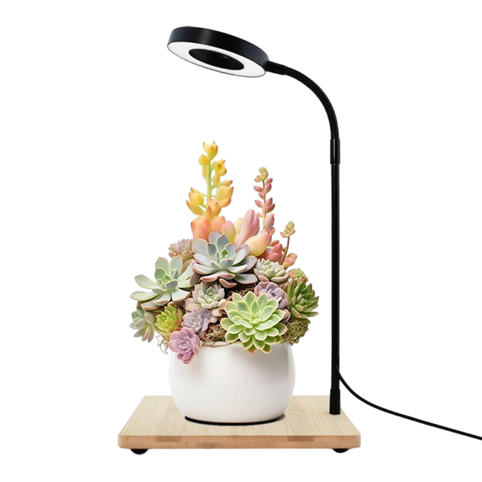 Światło LED dla Uprawy i Hodowli Roślin Zasilana USB Pełnospektralna Lampa