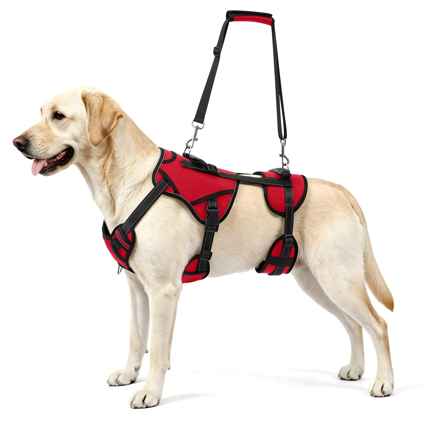 NOYAL Dog Lift Harness, 2-in-1 Support Sling for Senior &amp; Injured Dogs