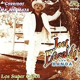  EL Zorro De Ojinaga