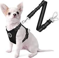 Vista 22 de SlowTon Arnés de Cinturón de Seguridad para Perro para Coche, Arnés de Coche para Perros Ajustable de Malla Transpirable y Arnés de Cinturón