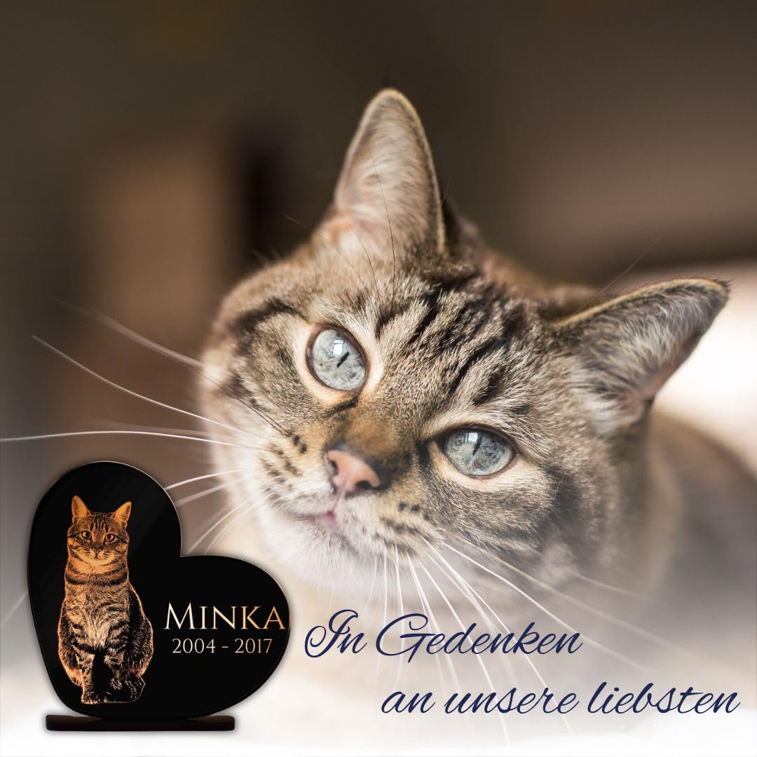 Gedenkstandbild Gedenktafel mit Gravur Fotogravur | Grabstein Katze Herz stehend in 2 Größen | Grabschmuck graviert für Katzen oder Kater - Grabplatte im Kerzenschein leuchtend