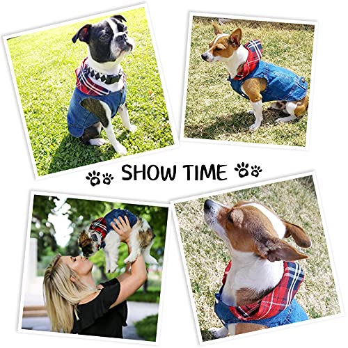 Ymond Dog Jean Jacket Puppy Denim T-Shirt, Machine Washable Lapel Vests, Cool Dog Clothes, Comfort And Cool Pet Apparel For Small Medium Dogs And Cats (Hat + Button, Xl) #TOP4
