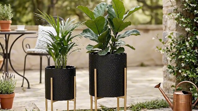large plant saucer Large Stone Plant Saucer | Versatile For Plants, Decor main image 1