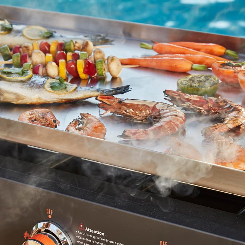 BRASERO BY FAVEX – Plancha gaz Carmen 4 feux – Grande surface – Jusqu'à 12 à 14 convives – Cuisson homogène – Housse incluse