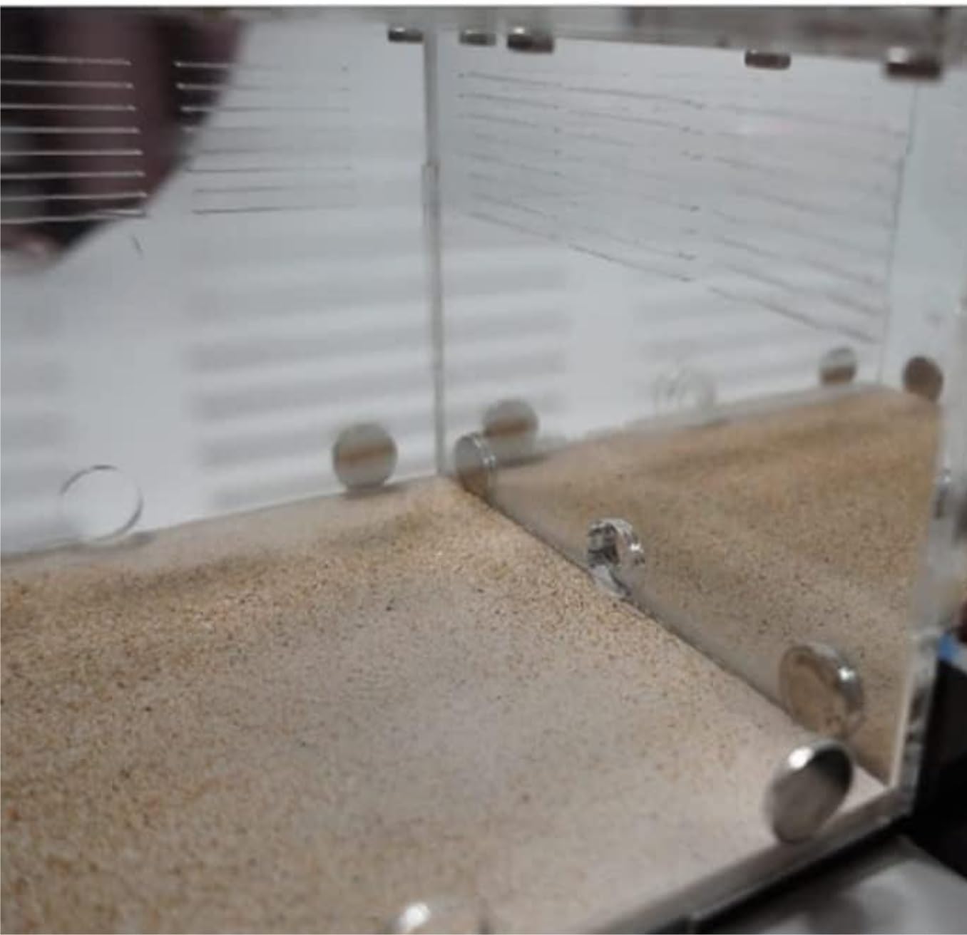 Ant Formicarium Akrylowe Gniazdo Mrówek DIY Gniazdo Betonowe Gniazdo Mrówek Dom Wiejski Warsztat Wiwarium Mrówek Edukacja Nauka Gniazdo Mrowiska