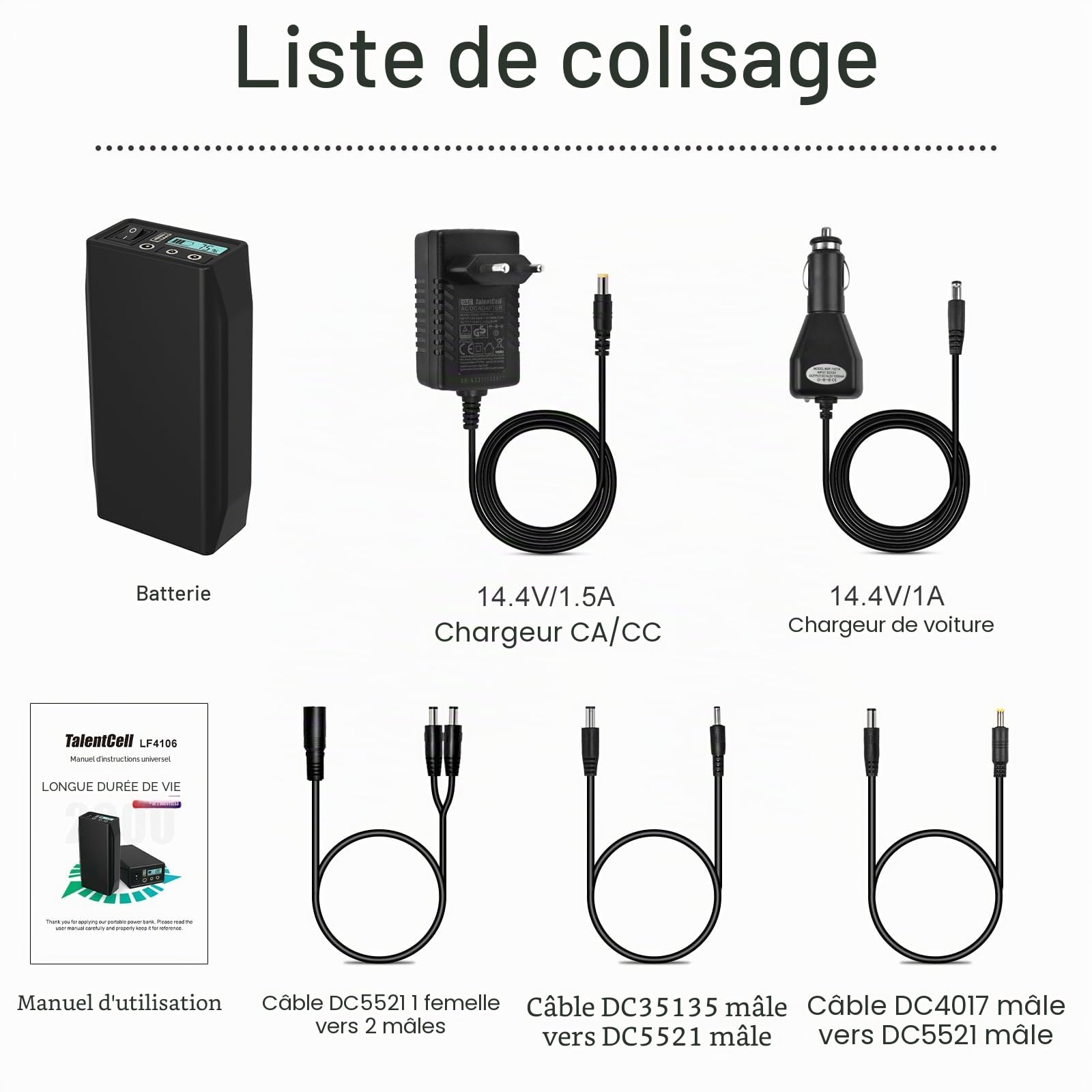 Talentcell Pack de batterie LiFePO4 12V LF4106, Accu Lithium Fer Phosphate 12.8V 6Ah 76.8Wh rechargeable 2000 cycles avec sortie DC 12/9/6 Volt et 5V USB pour bande LED, caméra CCTV, téléphone