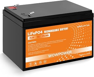 24V 7Ah Lithium LiFePO4 Deep Cycle Battery, 24 Volt 25.6V Rechargeable Battery with BMS, for Ride on Cars Toys, Power Wheels, RV, Camping, Solar System, Fish Finder