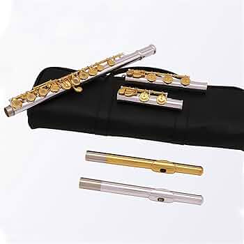 Amazon | フルート フルート 16/17 穴開き C キー E 初心者