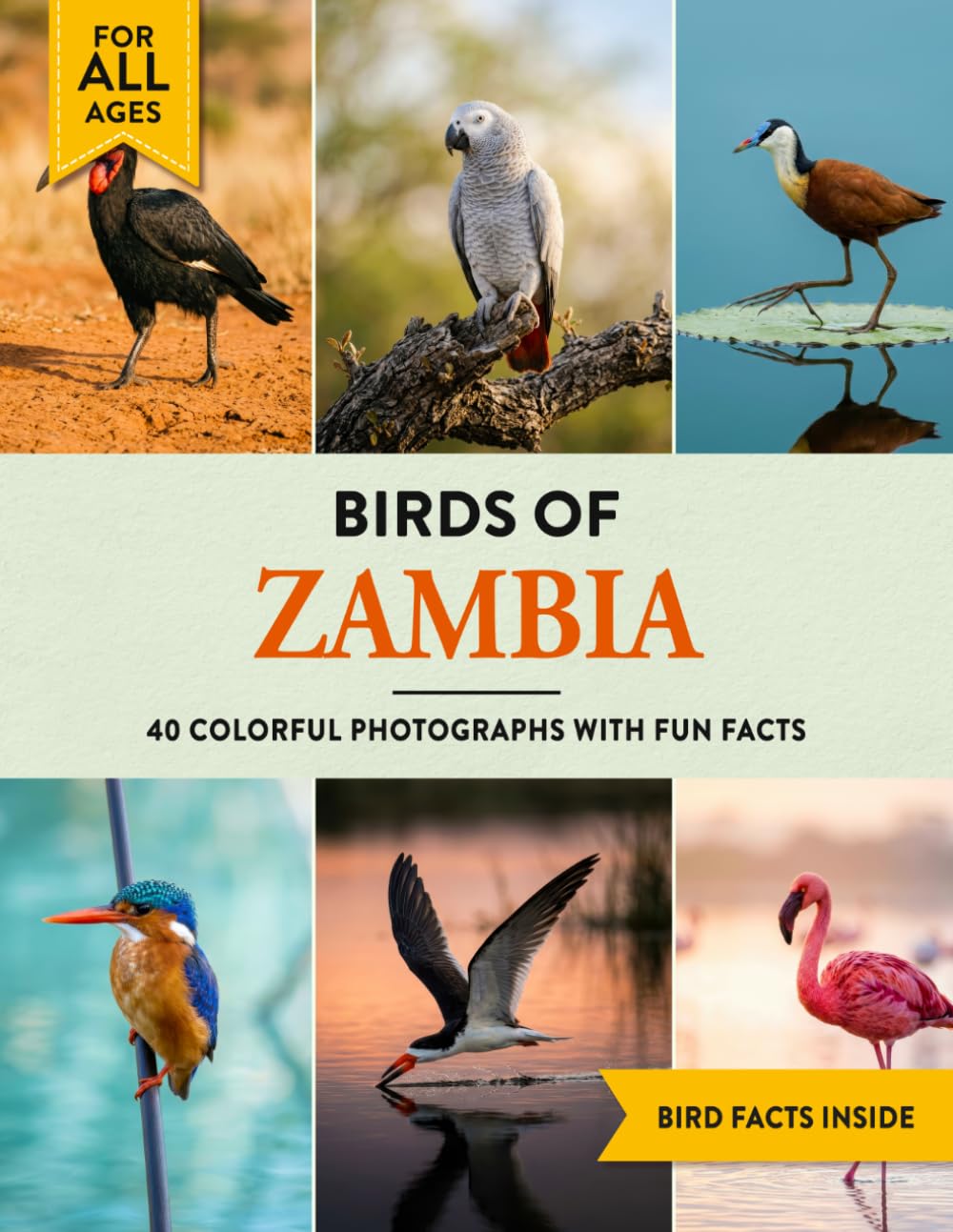 Birds of Zambia: A Birdwatching Picture Book with Fun Facts and Photography for Kids, Adults & Birders