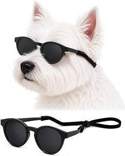 C04 G014 Dog Pet Costume Panto Sunglasses Small to Medium Breed (M, 12-25 lbs, Panto Black)