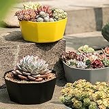 Zoom IMG-1 generisch vaso da fiori con Zoom IMG-1 generisch vaso da fiori con