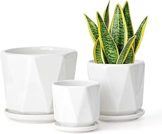 White Ceramic Planter Set of 3 with Drainage and Saucer, Indoor Plant Po...