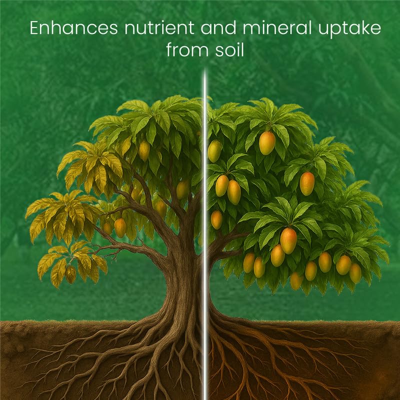 Image of Maxicrop Plus Homeopathic Solution for Enhanced Growth and Yield in Large Fruit Trees, Suitable for Coconut, Mango, Jackfruit, Nutmeg, and Other Large Trees (100 Gram)