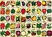 Vintage Plant Puzzle 1000 Pieces for Adult, Flower Puzzle of Heirloom Seeds, Garden Jigsaw Puzzles Fruit