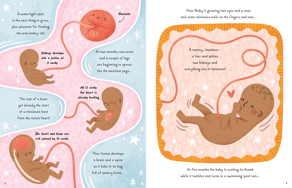 5 Minute Human Body Stories: Science to read out loud!
