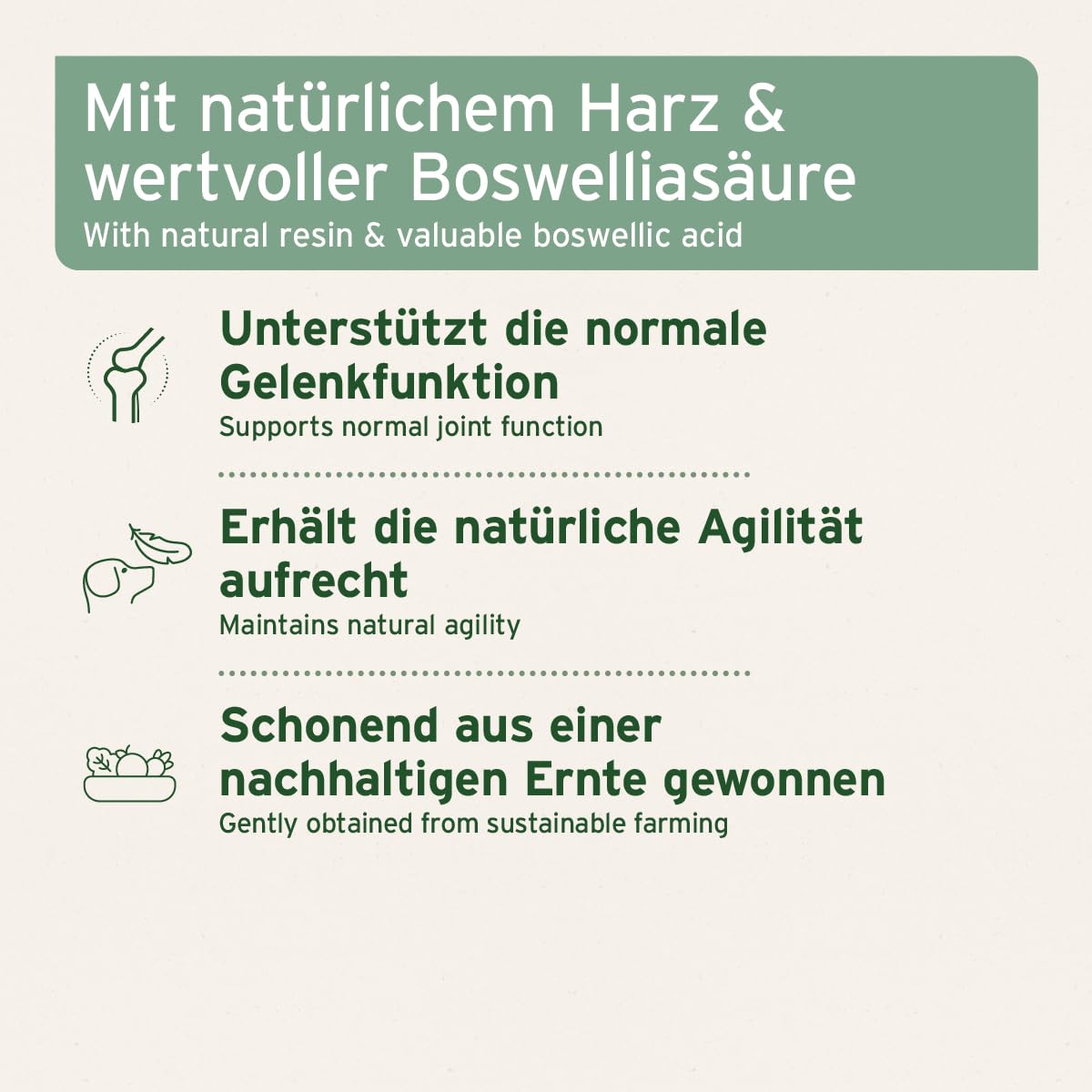 AniForte Weihrauchkapseln für Hunde 100 Stück - Natürliche Gelenktabletten mit Boswelliasäure, Unterstützung der Gelenke & Gelenkfunktion, Weihrauch Tabletten für Hundegelenke
