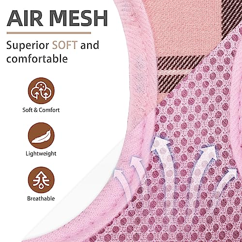 Pupteck Soft Mesh Dog Harness And Leash Set Step-In Plaid Puppy Padded No Pull Vest Harness For Xs Small Medium Sized Dogs Cats Outdoor Walking, Pink S #TOP3